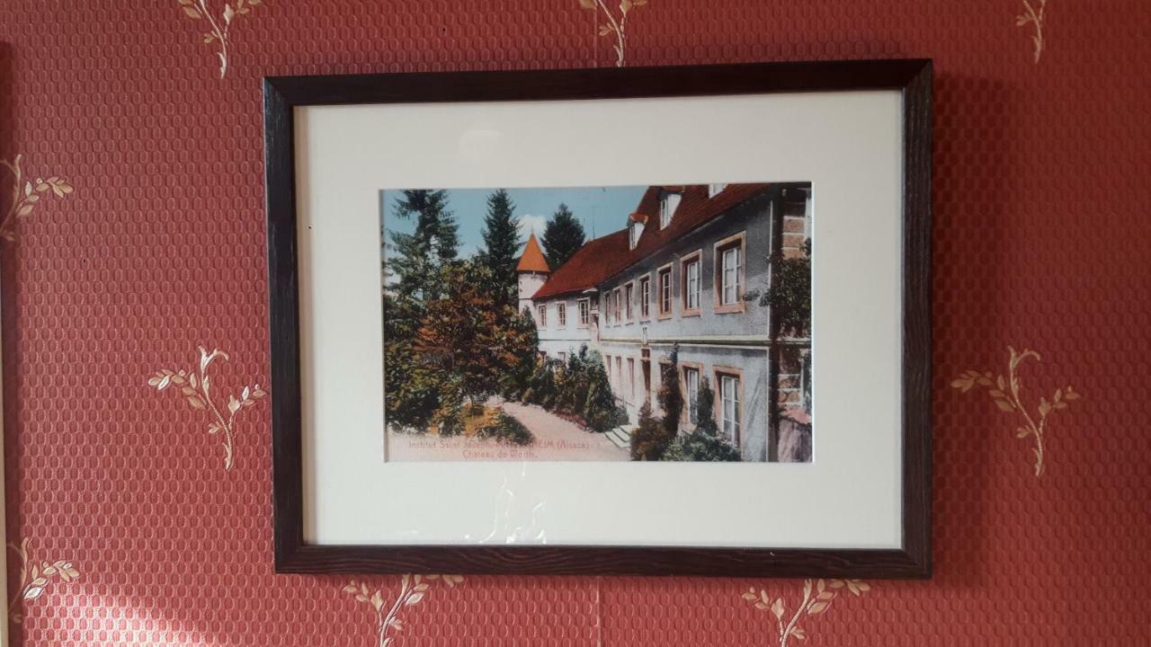Chateau De Werde Matzenheim Exterior foto